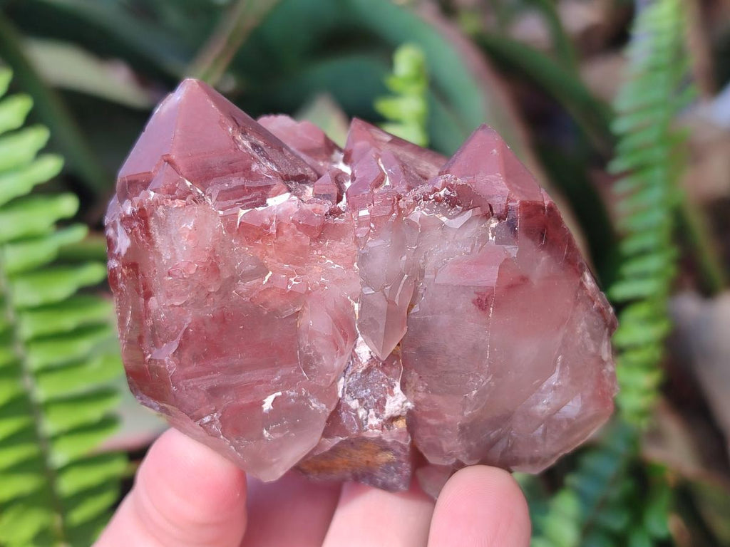 Natural Red Hematoid Quartz Crystals and Clusters x 12 From Karoi, Zimbabwe