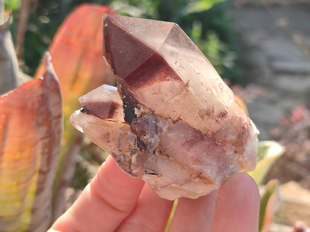 Natural Red Hematoid Quartz Crystals and Clusters x 12 From Karoi, Zimbabwe