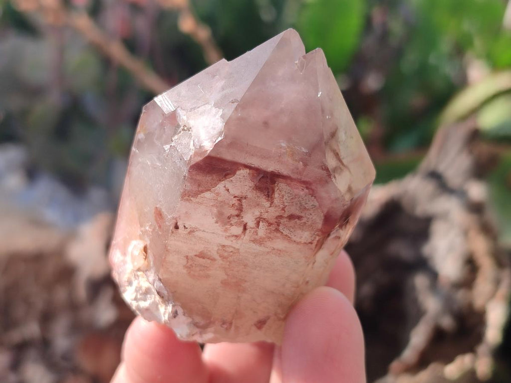 Natural Red Hematoid Quartz Crystals and Clusters x 12 From Karoi, Zimbabwe