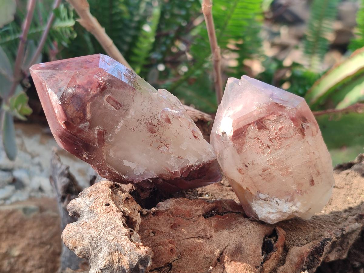 Natural Red Hematoid Quartz Crystals and Clusters x 12 From Karoi, Zimbabwe