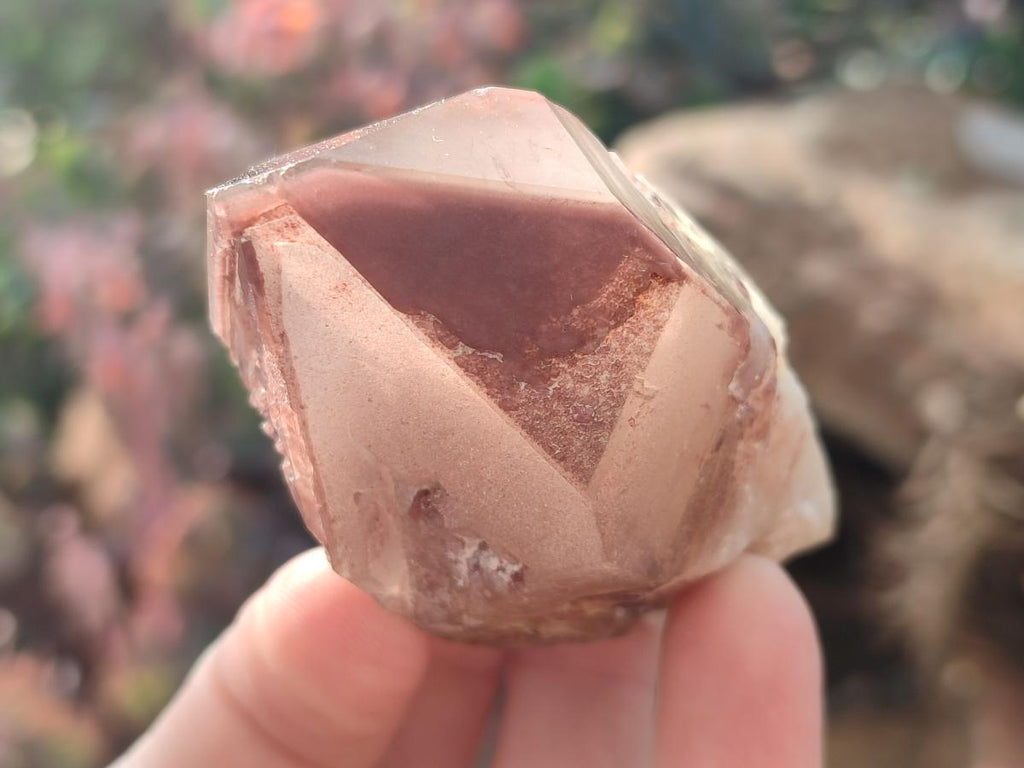 Natural Red Hematoid Quartz Crystals and Clusters x 12 From Karoi, Zimbabwe