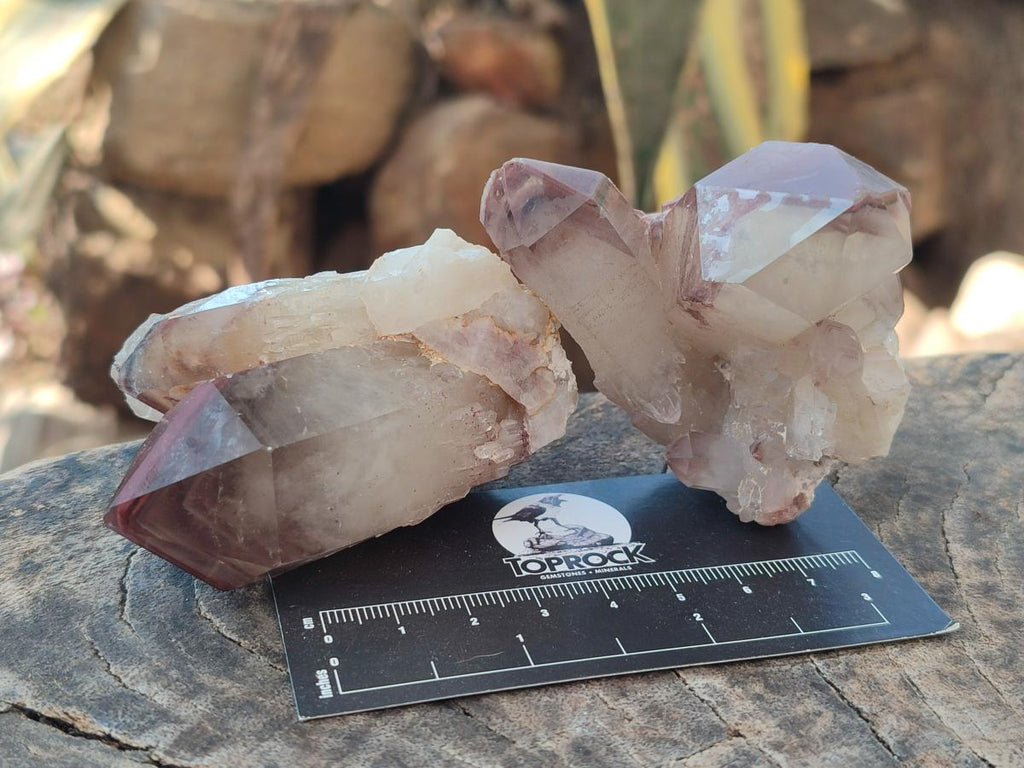 Natural Red Hematoid Quartz Crystals and Clusters x 12 From Karoi, Zimbabwe
