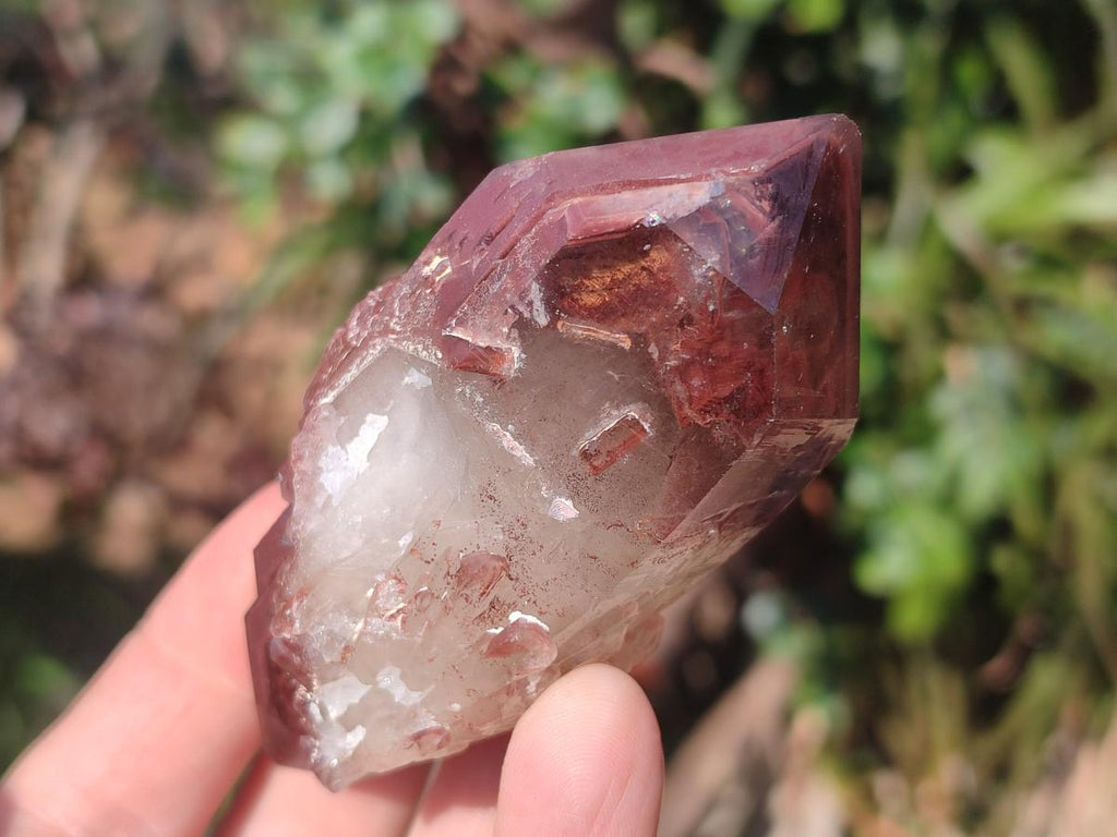 Natural Red Hematoid Quartz Crystals and Clusters x 12 From Karoi, Zimbabwe