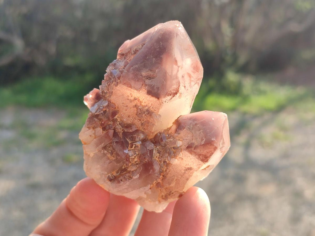 Natural Red Hematoid Quartz Crystals and Clusters x 12 From Karoi, Zimbabwe