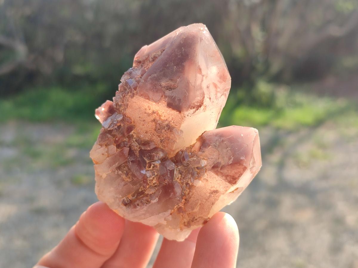 Natural Red Hematoid Quartz Crystals and Clusters x 12 From Karoi, Zimbabwe