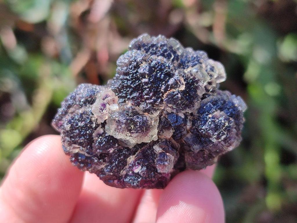 Natural Smokey Fluorite Specimens x 35 From Erongo, Namibia