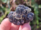 Natural Smokey Fluorite Specimens x 35 From Erongo, Namibia