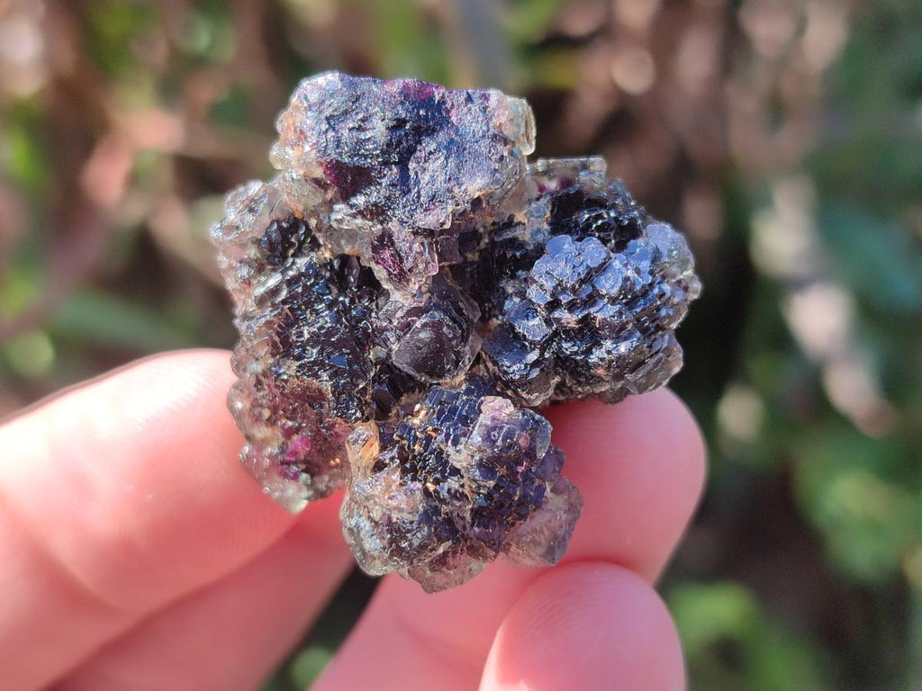 Natural Smokey Fluorite Specimens x 35 From Erongo, Namibia