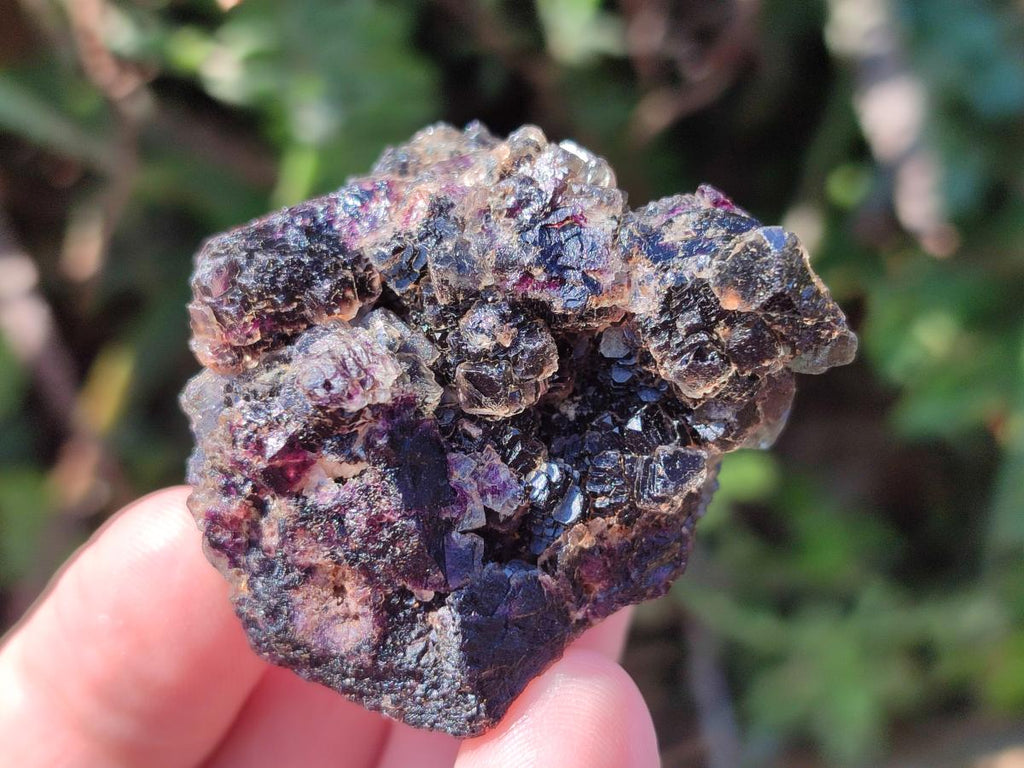 Natural Smokey Fluorite Specimens x 35 From Erongo, Namibia
