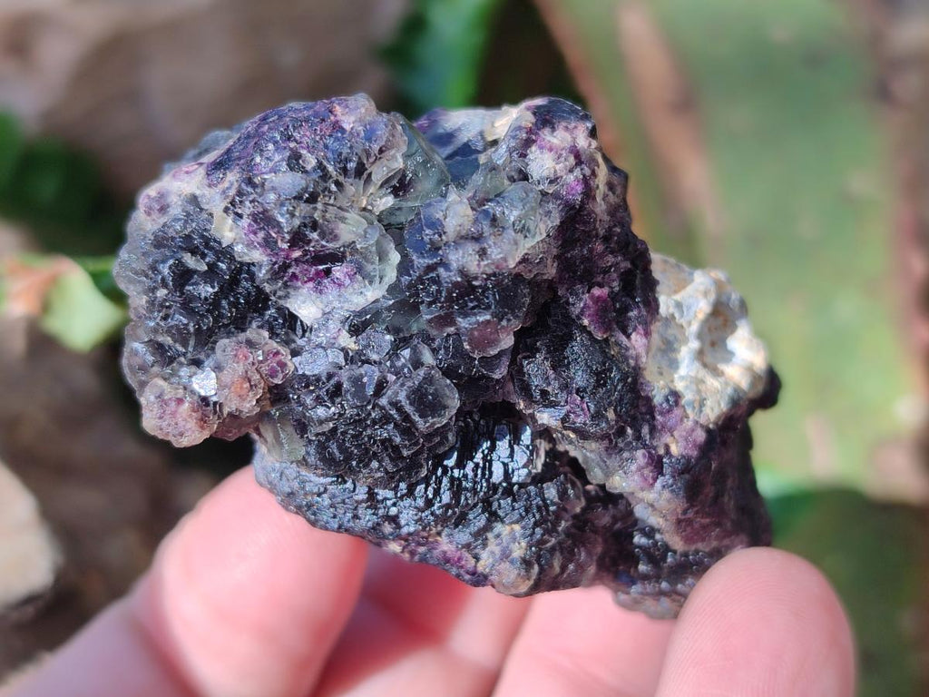 Natural Smokey Fluorite Specimens x 35 From Erongo, Namibia