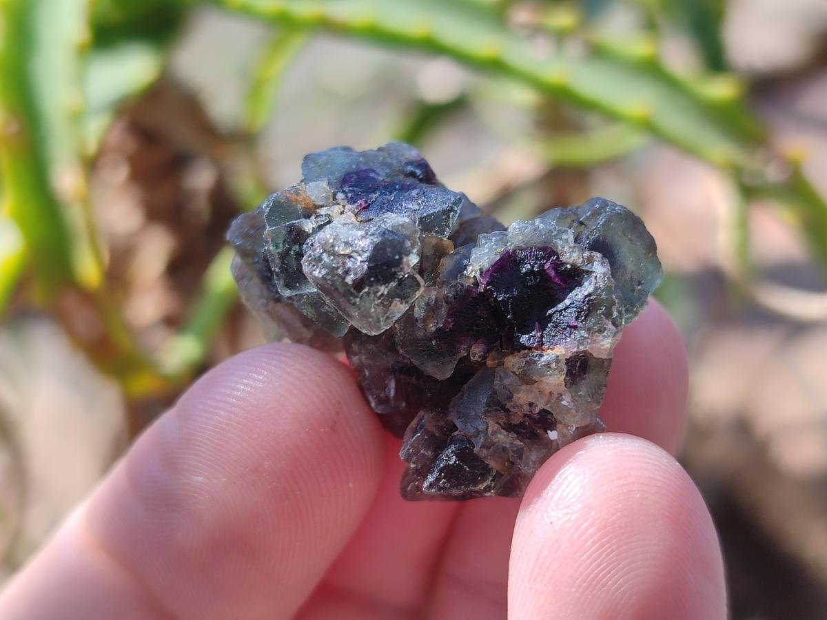 Natural Smokey Fluorite Specimens x 35 From Erongo, Namibia
