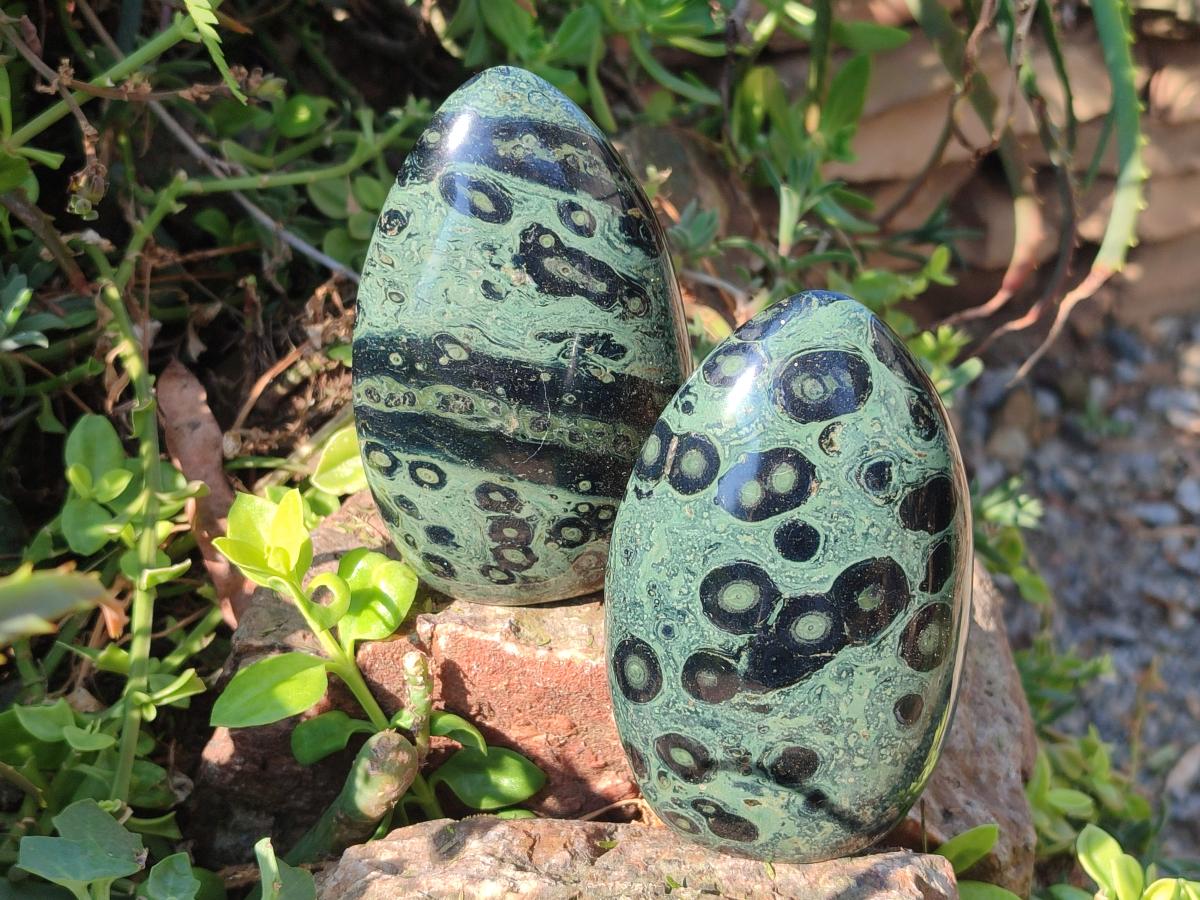 Polished Stromatolite "Kambamba Jasper" Standing Display Pieces x 6 From Katsepy, Madagascar