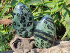 Polished Stromatolite "Kambamba Jasper" Standing Display Pieces x 6 From Katsepy, Madagascar