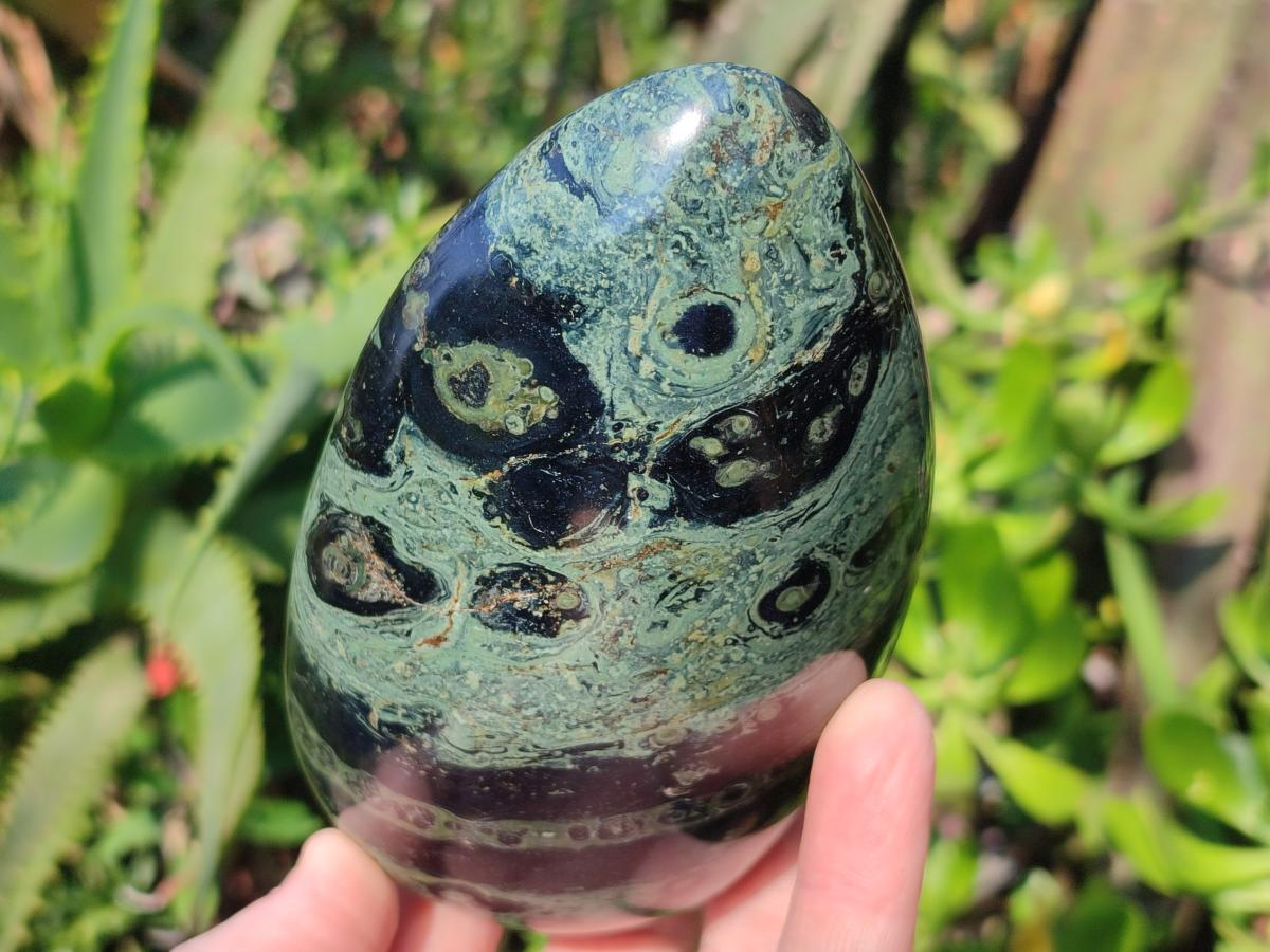 Polished Stromatolite "Kambamba Jasper" Standing Display Pieces x 6 From Katsepy, Madagascar
