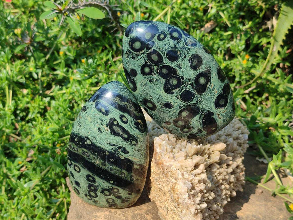 Polished Stromatolite "Kambamba Jasper" Standing Display Pieces x 6 From Katsepy, Madagascar