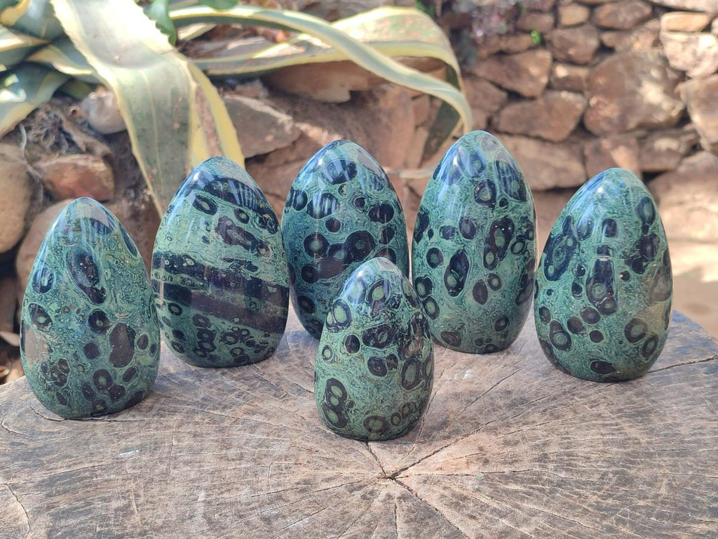 Polished Stromatolite "Kambamba Jasper" Standing Display Pieces x 6 From Katsepy, Madagascar