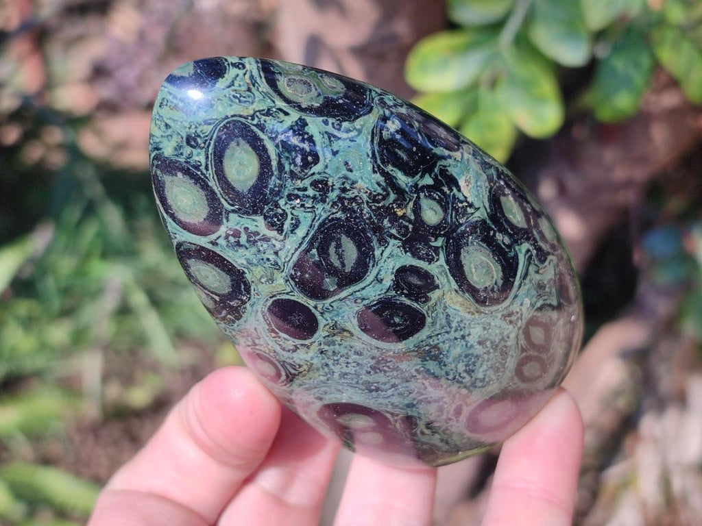Polished Stromatolite "Kambamba Jasper" Standing Display Pieces x 6 From Katsepy, Madagascar