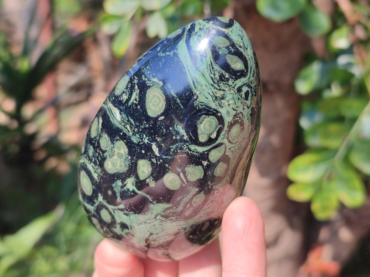 Polished Stromatolite "Kambamba Jasper" Standing Display Pieces x 6 From Katsepy, Madagascar