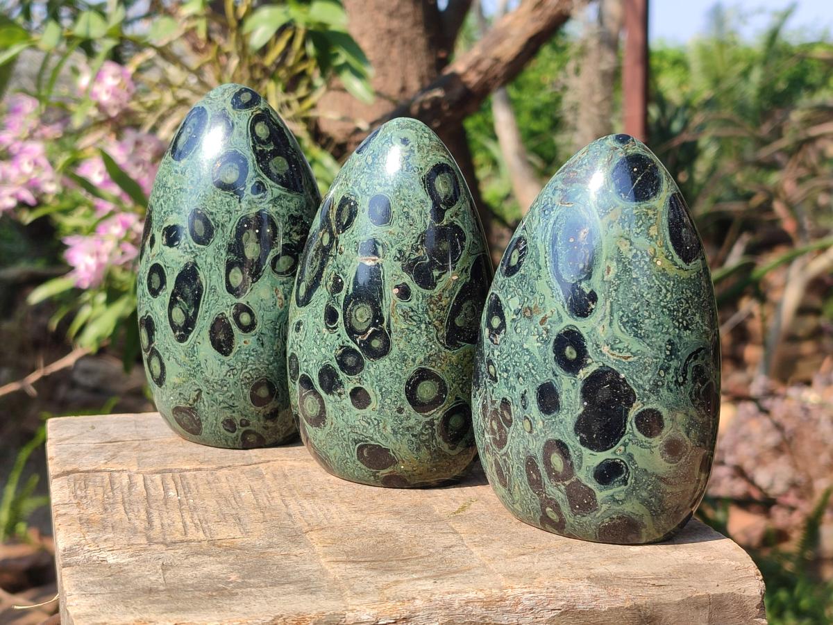 Polished Stromatolite "Kambamba Jasper" Standing Display Pieces x 6 From Katsepy, Madagascar