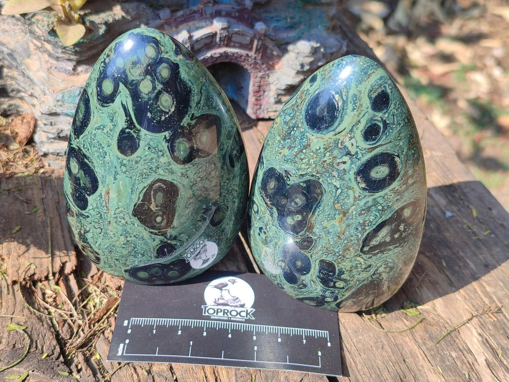 Polished Stromatolite "Kambamba Jasper" Standing Display Pieces x 6 From Katsepy, Madagascar