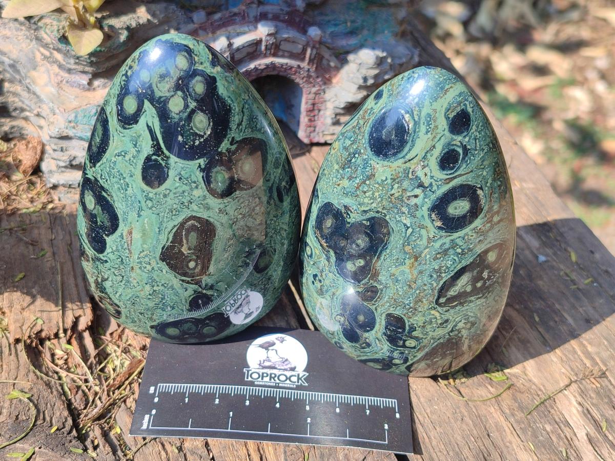 Polished Stromatolite "Kambamba Jasper" Standing Display Pieces x 6 From Katsepy, Madagascar