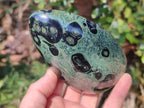 Polished Stromatolite "Kambamba Jasper" Standing Display Pieces x 6 From Katsepy, Madagascar