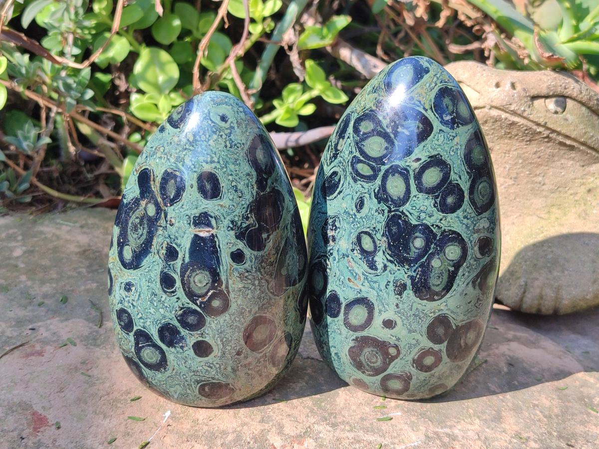Polished Stromatolite "Kambamba Jasper" Standing Display Pieces x 6 From Katsepy, Madagascar