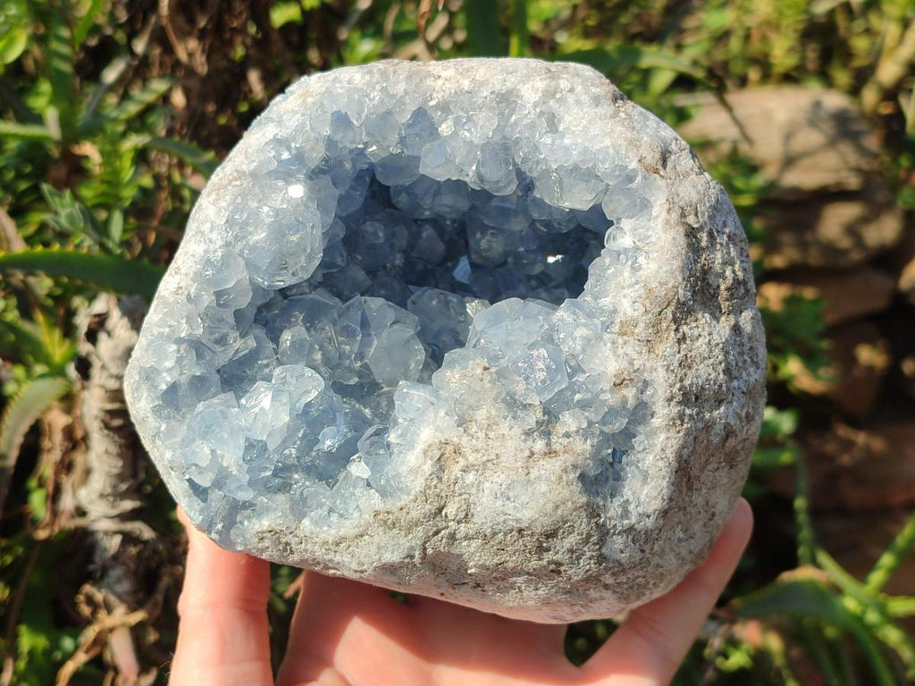 Natural Large Blue Celestite Geode Specimen x 1 From Sakoany, Madagascar