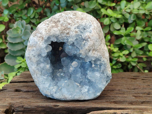 Natural Large Blue Celestite Geode Specimen x 1 From Sakoany, Madagascar - Toprock Gemstones and Minerals 