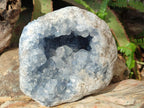 Natural Large Blue Celestite Geode Specimen x 1 From Sakoany, Madagascar