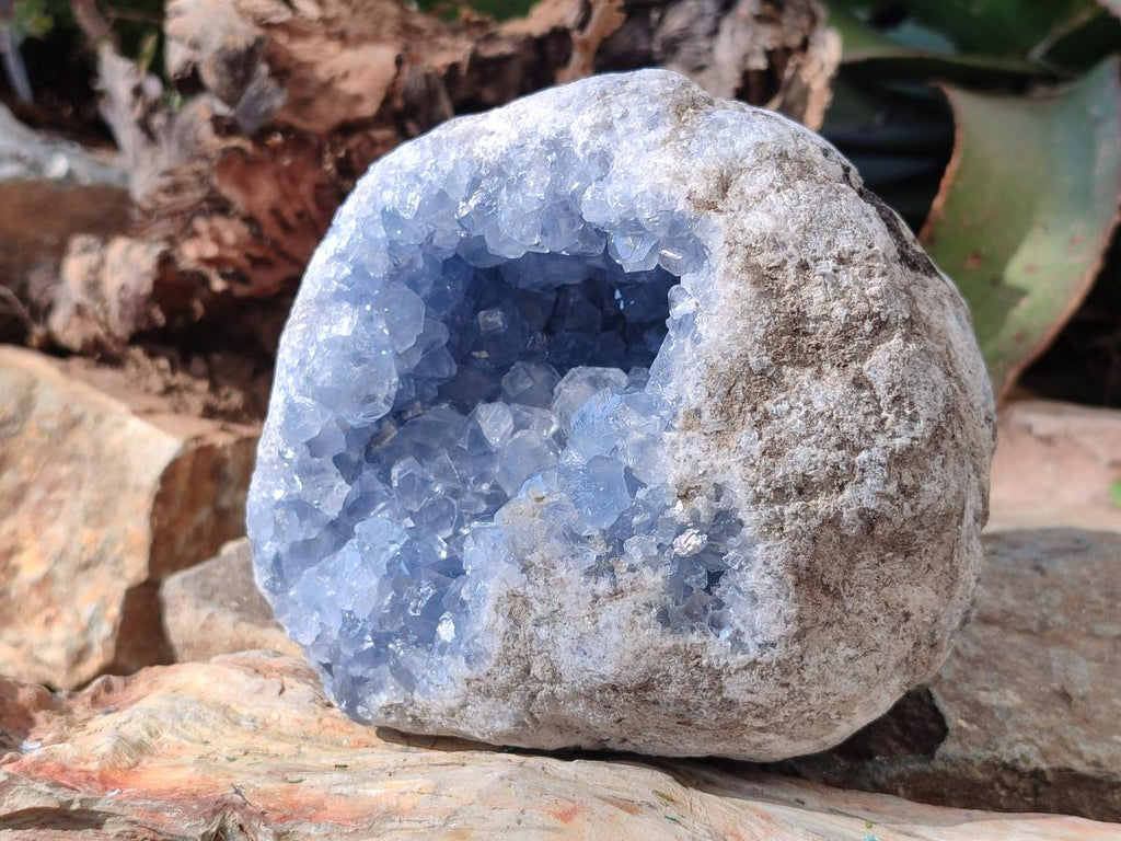 Natural Large Blue Celestite Geode Specimen x 1 From Sakoany, Madagascar