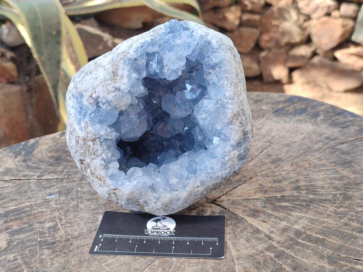Natural Large Blue Celestite Geode Specimen x 1 From Sakoany, Madagascar