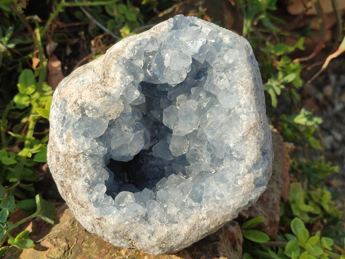 Natural Large Blue Celestite Geode Specimen x 1 From Sakoany, Madagascar
