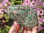Polished Large Emerald Mica 'Mutokolite' Standing Display Piece x 1 From Mutoko, Zimbabwe