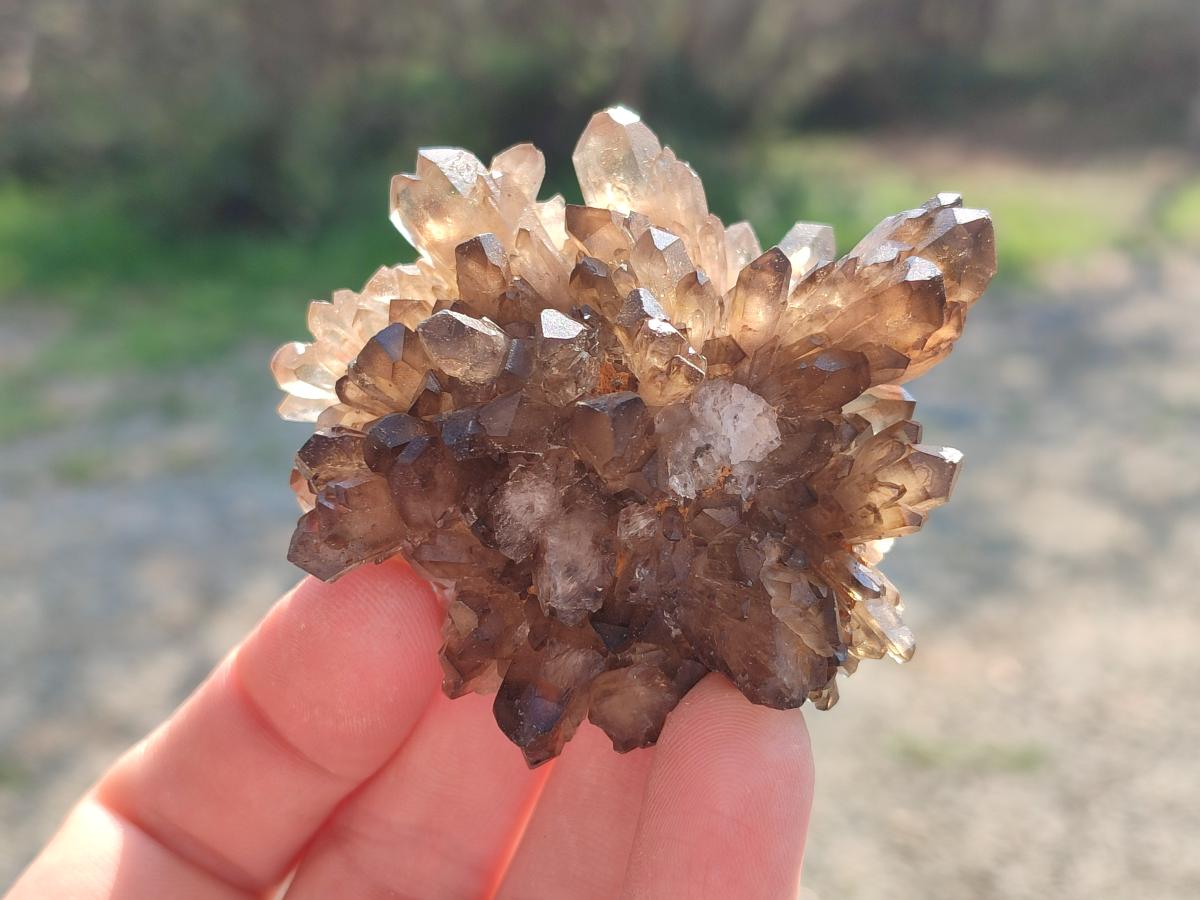 Natural Smokey Quartz Clusters x 9 From Khorixas, Namibia