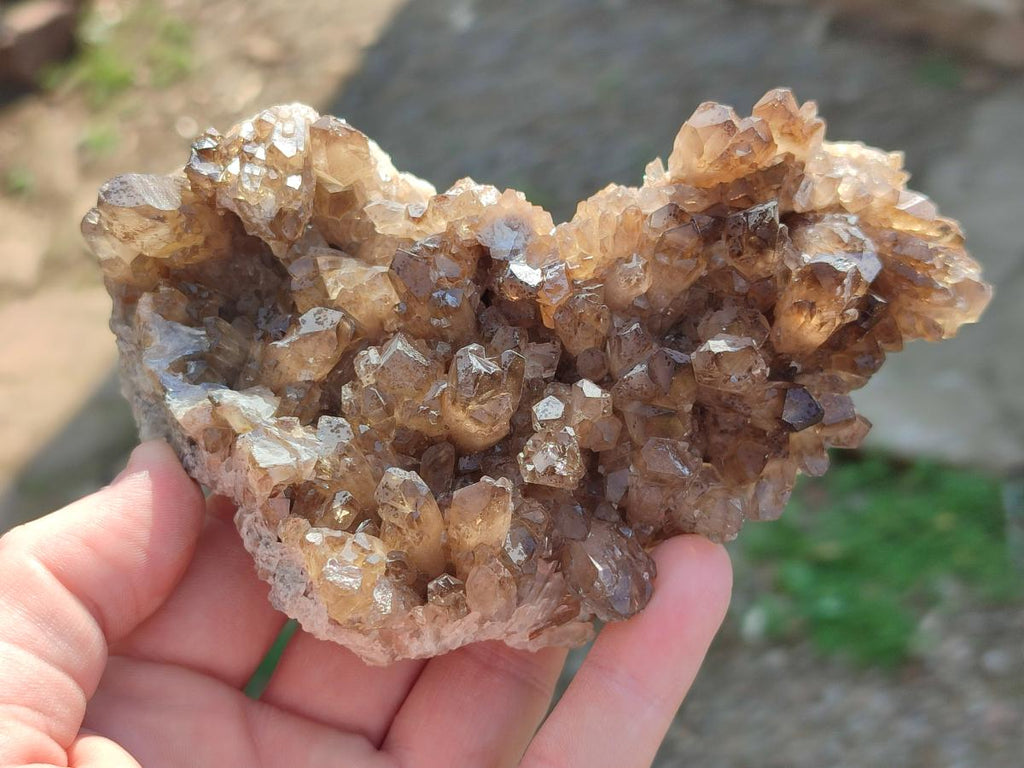 Natural Smokey Quartz Clusters x 9 From Khorixas, Namibia