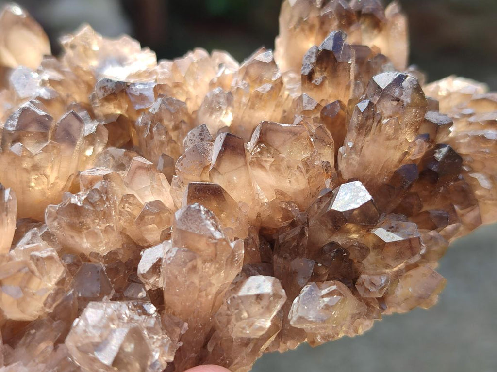 Natural Smokey Quartz Clusters x 9 From Khorixas, Namibia