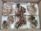 Natural Smokey Quartz Clusters x 9 From Khorixas, Namibia