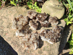 Natural Smokey Quartz Clusters x 9 From Khorixas, Namibia