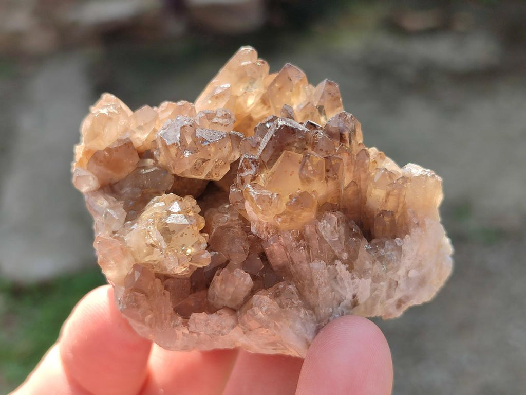 Natural Smokey Quartz Clusters x 9 From Khorixas, Namibia