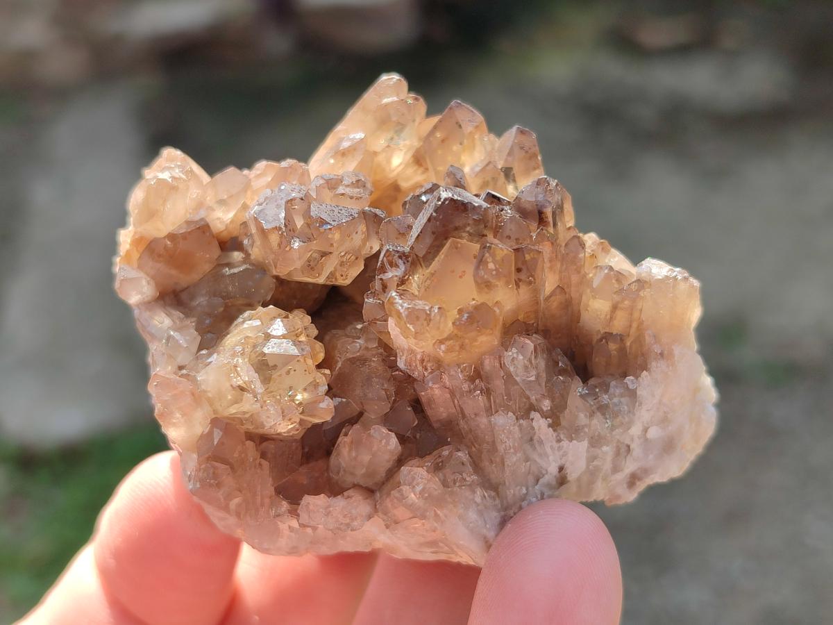 Natural Smokey Quartz Clusters x 9 From Khorixas, Namibia