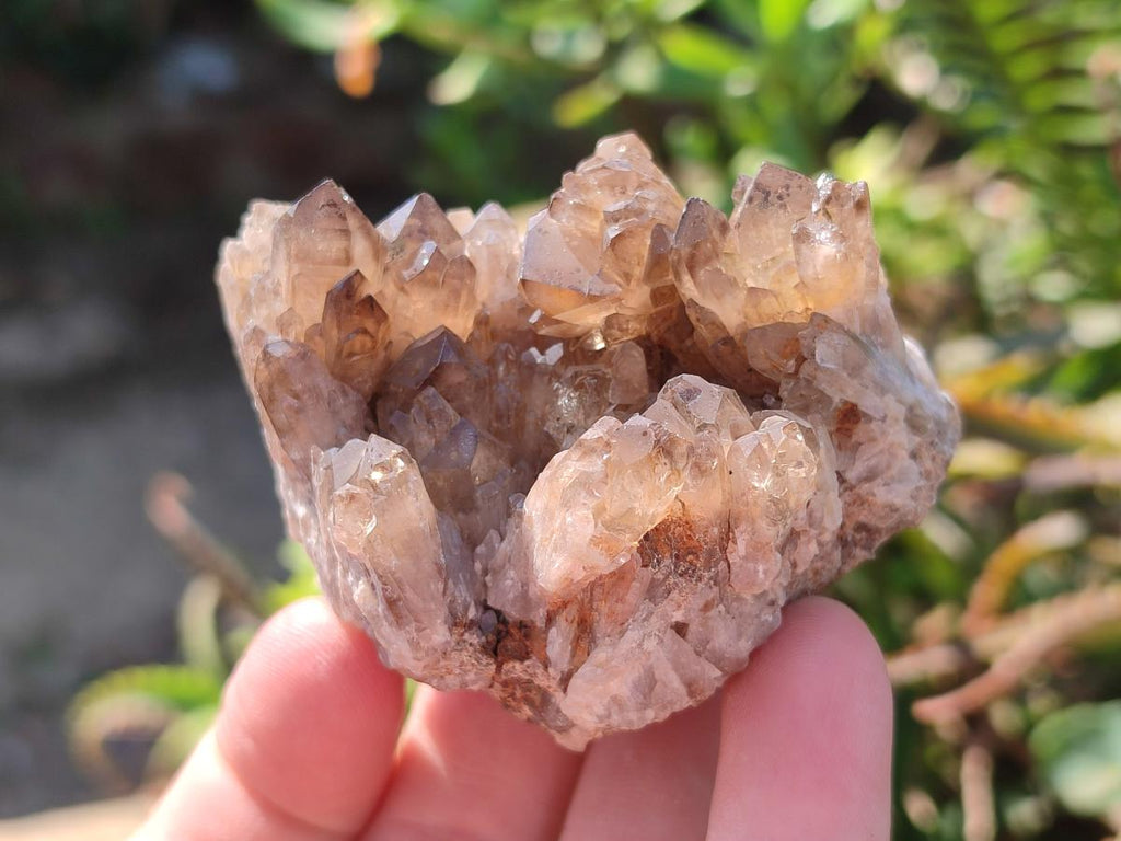 Natural Smokey Quartz Clusters x 9 From Khorixas, Namibia