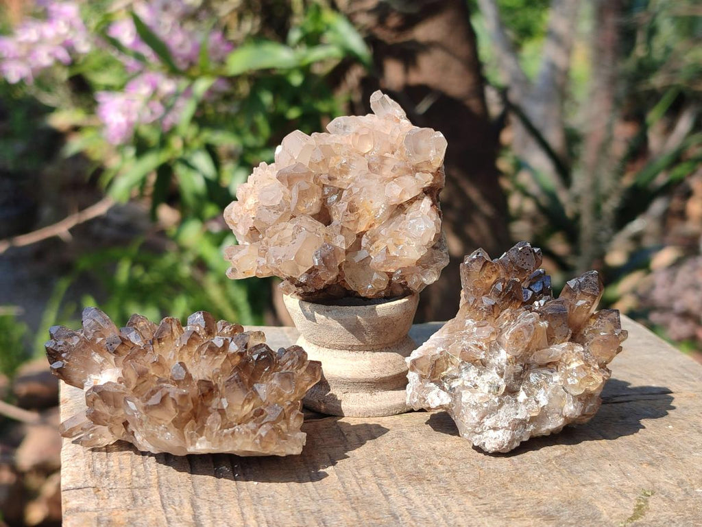 Natural Smokey Quartz Clusters x 9 From Khorixas, Namibia