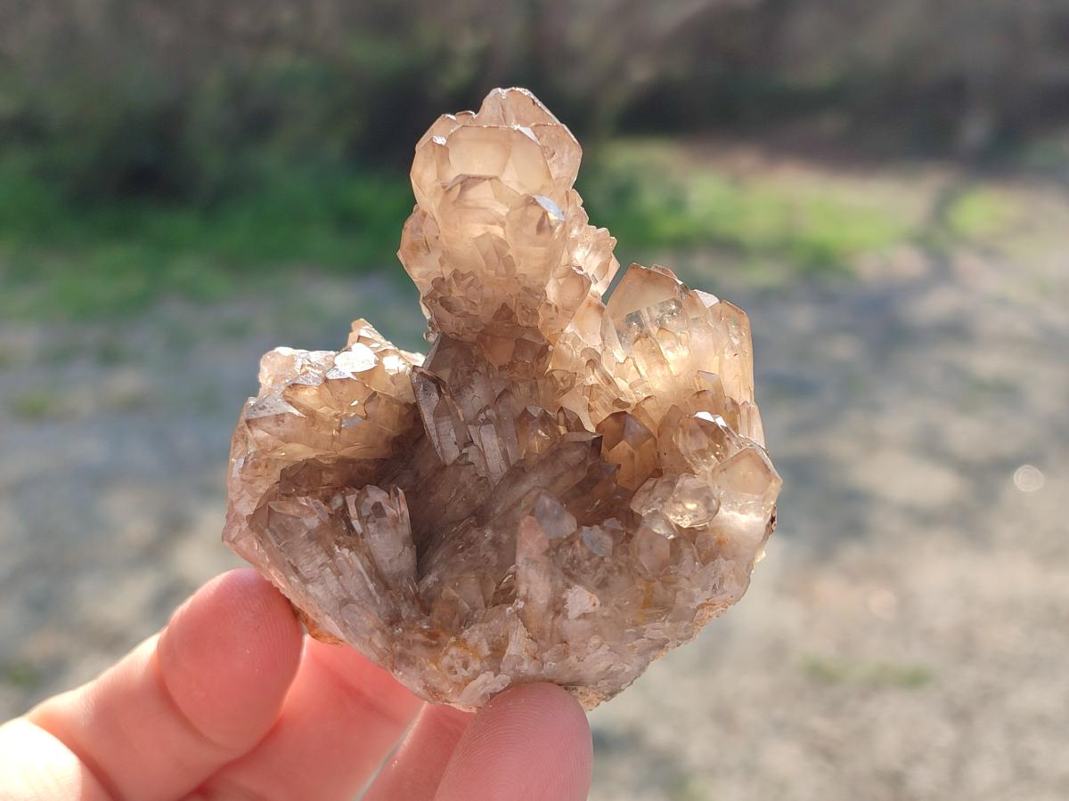 Natural Smokey Quartz Clusters x 9 From Khorixas, Namibia