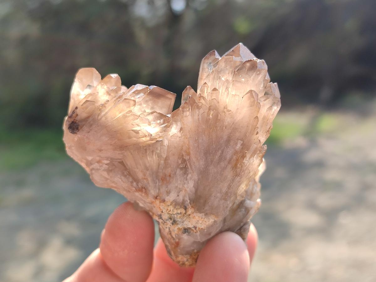 Natural Smokey Quartz Clusters x 9 From Khorixas, Namibia