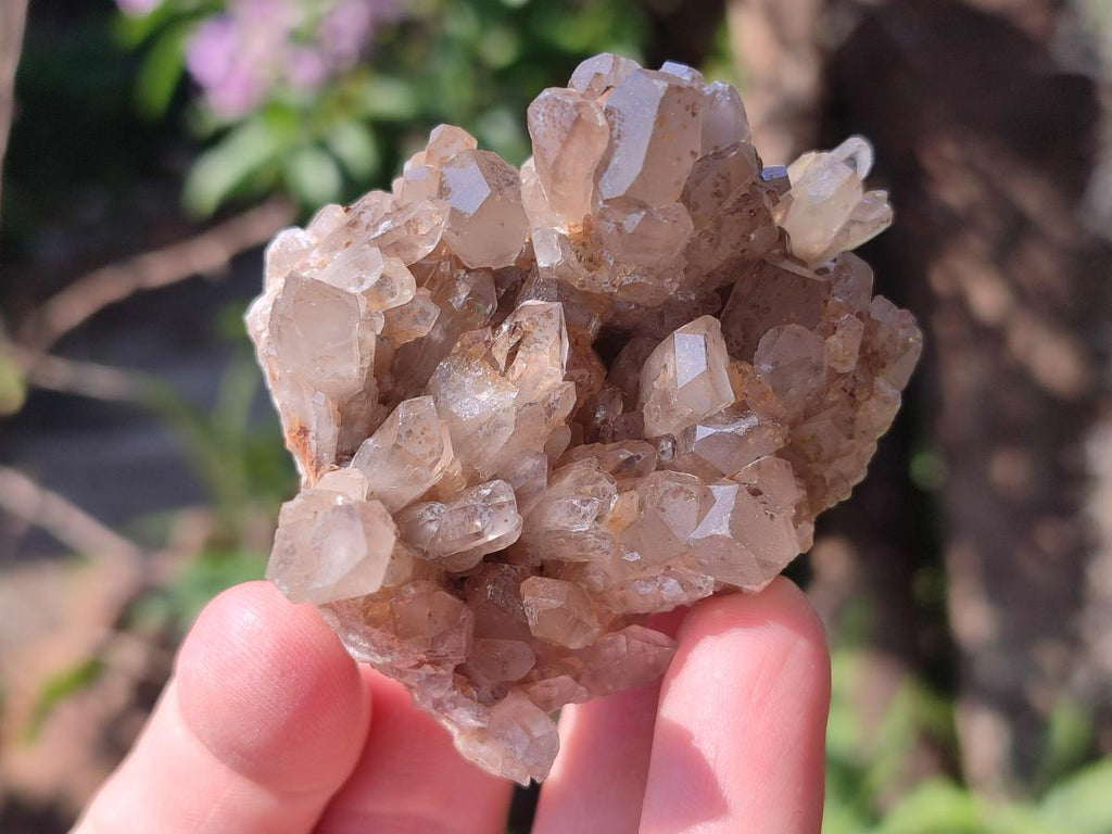 Natural Smokey Quartz Clusters x 9 From Khorixas, Namibia