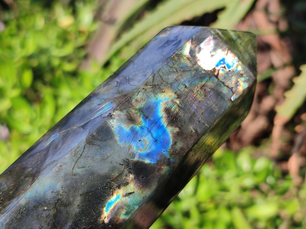 Polished Labradorite Display Crystals x 2 From Madagascar