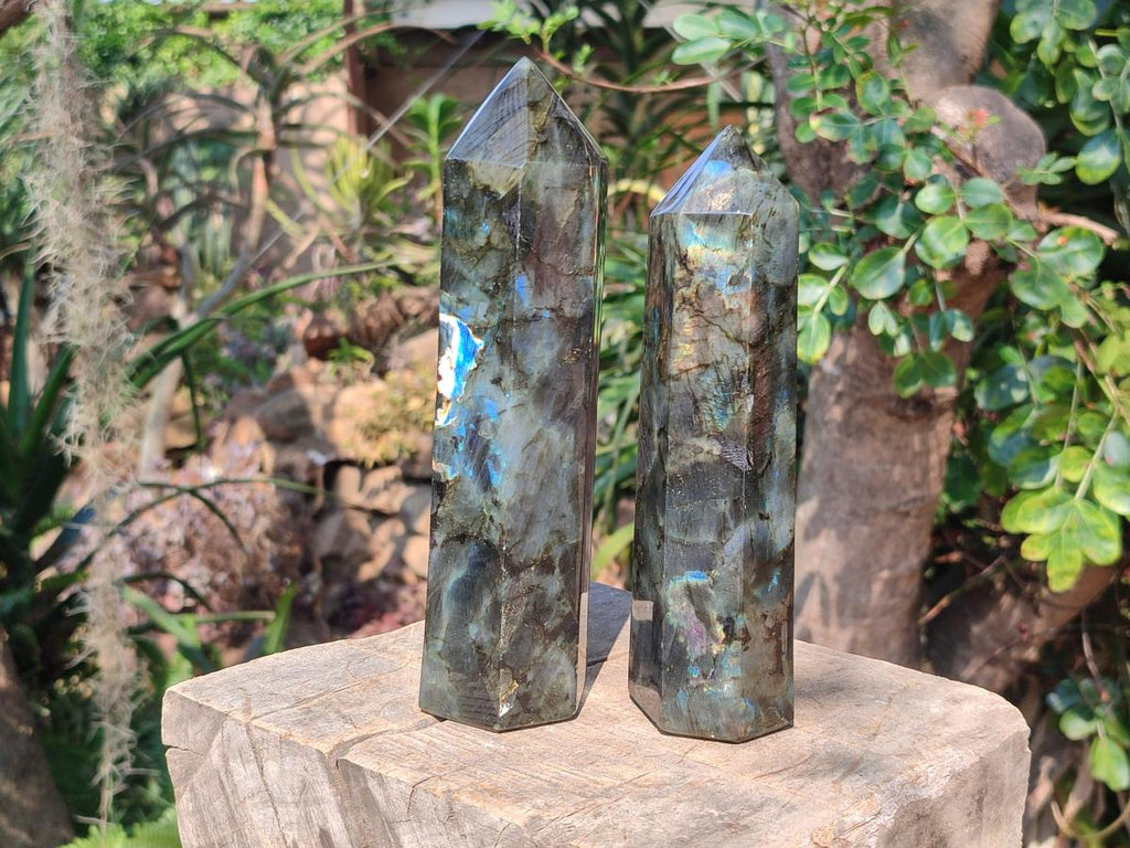 Polished Labradorite Display Crystals x 2 From Madagascar