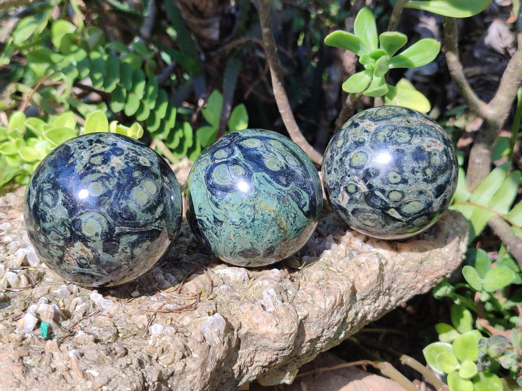 Polished Stromatolite "Kambamba Jasper" Spheres x 6 From Katsepy, Madagascar