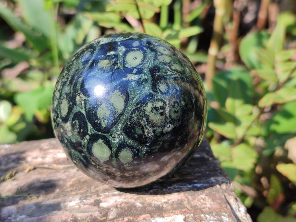 Polished Stromatolite "Kambamba Jasper" Spheres x 6 From Katsepy, Madagascar